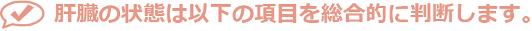 肝臓の状態は以下の項目を総合的に判断します。