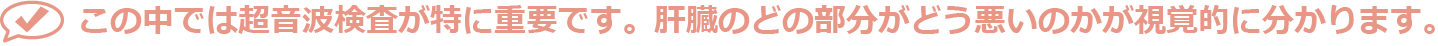 この中では超音波検査が特に重要です。肝臓のどの部分がどう悪いのかが視覚的に分かります。