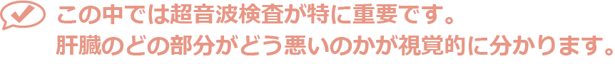 この中では超音波検査が特に重要です。肝臓のどの部分がどう悪いのかが視覚的に分かります。