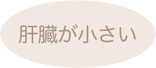 肝臓が小さい